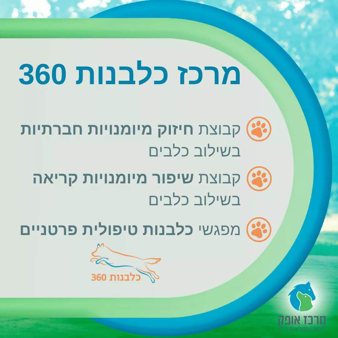 מרכז כלבנות 360